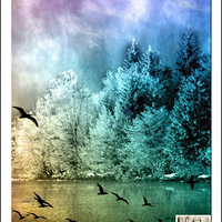 �������ŵĻ滭��