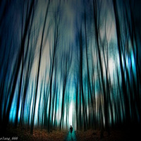 �Ӿ�ʢ�磨9��