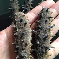 ���ε�Ӫ����ֵ