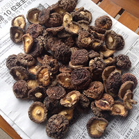 ��ҿ����������ô��