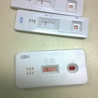 ����һֻ��ĦҮ�������´�Ȯ�����ڣ�