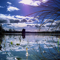 �Ŀ�����