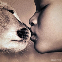 ������---���붯��������һ