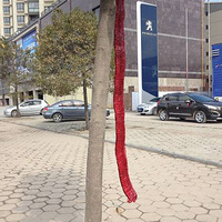 ��ϲ��һ����ʨ����ɨ��۽��� 