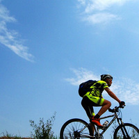 �����лƻ�ɽ��