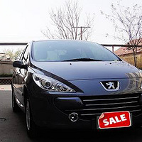 ���������ʨ�ӣ����ĺ�307����Щ����