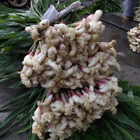 ���ǽ��� ȥ��θ����ůθ,ů�� ���η纮��ð���Ů����