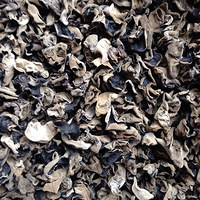 ��Ȫ������ľ��