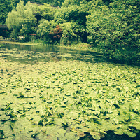 ��齡��---ԡ����