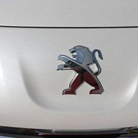 1.6T��ɫ  3008�ᳵ������֤