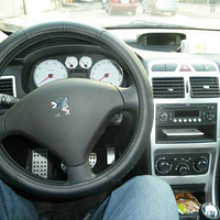 ������������һ����Ȼѡ��307