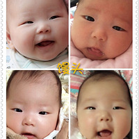 ˫�������ȫְ����---���ӣ��У�AND��ͷ��Ů��