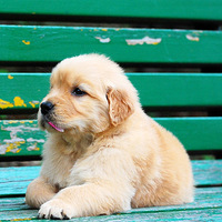 3��12�ճ���2��4ĸ ����������