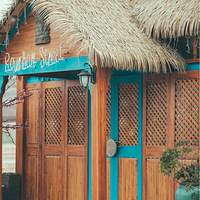 �����Ľ��