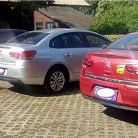 һ�����ڵ�Ұ��������Ǵ���