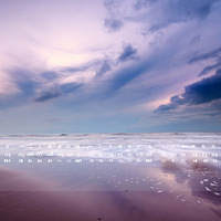 2014��5��������ֽ