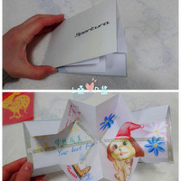 ������˽���ռǡ������ۡ���Ψ�� ����  LɣP��