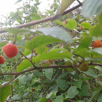 ����󲻻����ǵĶ���