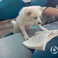 ������ѧ�������ȹ�У԰�ߺ�