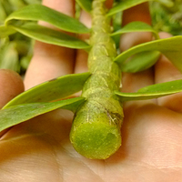 �����ʼ�����ݸ�Ŀ������ɫ������