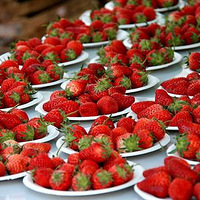 ������֤�������ᣬ��û���� 