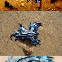 Ӣ���׳�������ת��