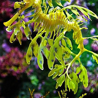 ��������ת��