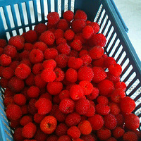 ��ɽ�����ĺû�!!׬�����ۣ�