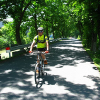 �����г�ɽ  �Ӹ˹��ơ�