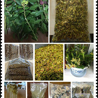 ��Ƥʯ��������