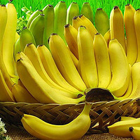 С���°�����ЩʳƷ��ű��䣡