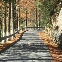 2�����õ�����Ŷ~ ���ú�ʵ�ڡ������˺ܺá��̵ĸ��á�һ�ѹ�