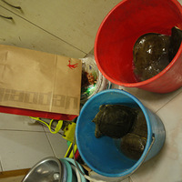 лл������Χ�ۣ��⣡