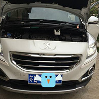 1.6T�Գ�3008�������Ϻ����ˣ���ʽ�꾫