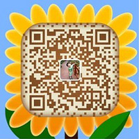 ��2ƿ���ʡ� ʳ֮ζ ���ƺ���ţ�⽴  ��Ŵ��ţ����  ���ʵ��