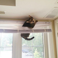 ��Ц��ת��