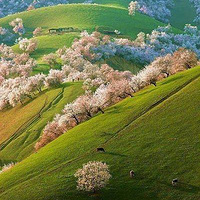 �½����ӻ�