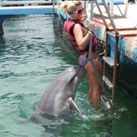 ��Ц 2 ��ת��