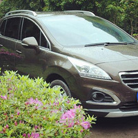 ����ϸ����3008������������