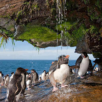 ��ϴ��ת��