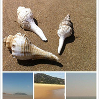 ������˽���ռǡ���������֮�Фλ�ɴ������