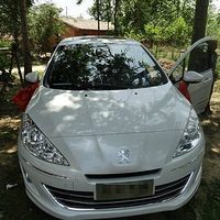 ��ɫ��ʨ���ᳵ����������һ��