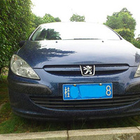 ������Сʨ�ӣ�06��1.6�ֶ�307̸����