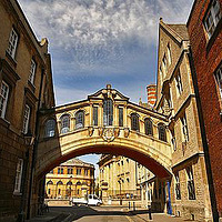 �й�ѧ���������ʮ��Ӣ����ѧ