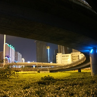 ��̩����