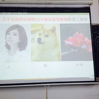 С2�Ӹ�Ц����6����������ᣡ