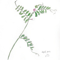 �һ�������ѧУ��Щ�����͸������߿���У��ѧ��ѧ��