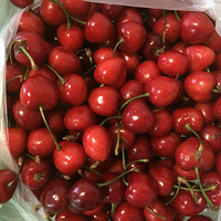 ����ӣ�ҽ�