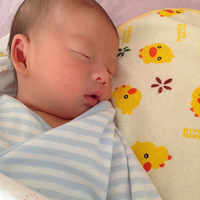 ����Ů�ľ���nimo���ְ�Ϊ���㣬Ը���������