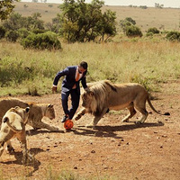 ����װ����ֻʨ�������� ��ƬѸ���ߺ�(������ͼ)